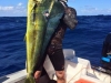 Wade 17kg Feb15