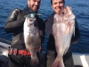 Yank and Mexican June 15