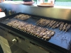 The BBQ and one of many courses served on the evening
